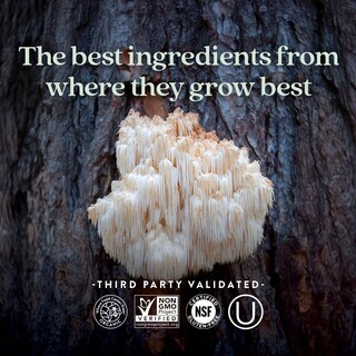 Foto 5 | Foto 5 | Suplemento New Chapter Lion's Mane + Reishi Mushroom, 60 Unidades - Venta Internacional.