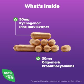 Foto 3 | Foto 3 | Suplemento Natrol Pycnogenol En Cápsulas De 50 Mg, 60 Unidades - Venta Internacional.