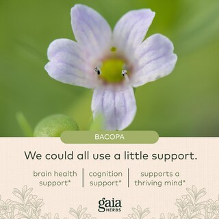 Foto 5 | Foto 5 | Suplemento Gaia Herbs Bacopa Brain Support 60 Cápsulas Veganas - Venta Internacional.
