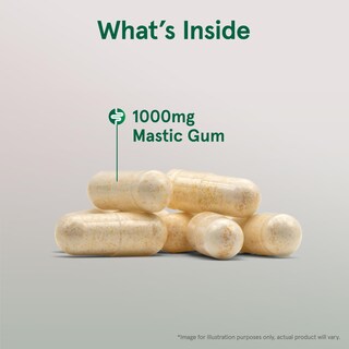 Foto 3 | Foto 3 | Suplemento Jarrow Formulas Mastic Gum 1000 Mg 120 Cápsulas - Venta Internacional.