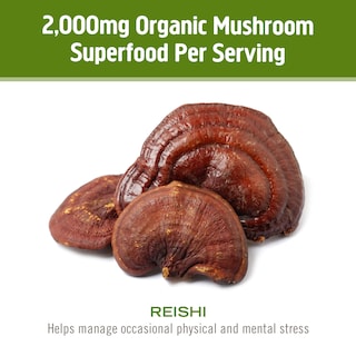 Foto 6 | Foto 6 | Suplemento Om Mushroom Superfood Reishi En Polvo, 100 G - Venta Internacional.