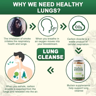 Foto 5 | Foto 5 | Suplemento De Extracto De Hoja De Gordolobo Neviss, 1000 Mg, Paquete De 2 Gomitas - Venta Internacional.