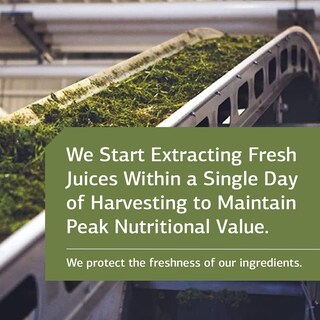 Foto 5 | Foto 5 | Suplemento Standard Process Calsol 90 Comprimidos - Venta Internacional.