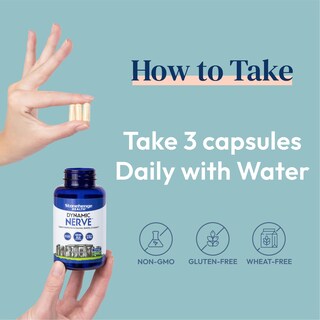 Foto 3 | Foto 3 | Suplemento Stonehenge Health Dynamic Nerve Support 90 Cápsulas - Venta Internacional.