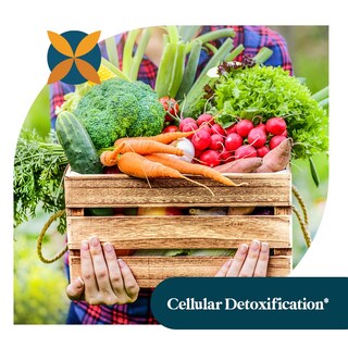 Foto 5 | Foto 5 | Suplemento Pattern Wellness Ajo Orgánico Inodoro 1000 Mg - Venta Internacional.