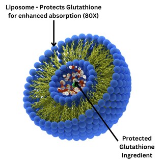 Foto 6 | Foto 6 | Supplement Research Labs, Glutatión Liposomal, 1000 Mg, 120 Cápsulas Blandas - Venta Internacional.