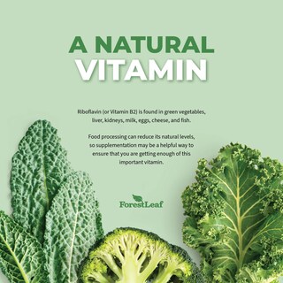 Foto 4 | Foto 4 | Suplemento Forestleaf De Vitamina B2 Y Riboflavina, 400 Mg, 90 Cápsulas - Venta Internacional.