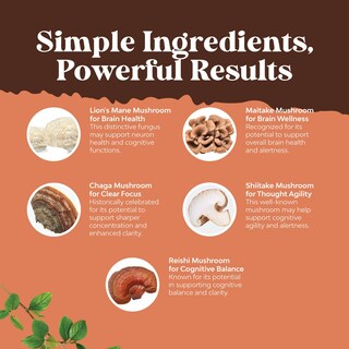 Foto 4 | Foto 4 | Complemento Natures Craft Advanced Mushroom Complex 30 Cápsulas - Venta Internacional