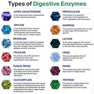 Foto 5 | Foto 5 | Suplemento Wholesome Wellness Digestive Enzymes 1000 Mg 180 Cápsulas - Venta Internacional.