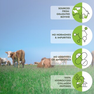 Foto 5 | Foto 5 | Péptidos de Colágeno Momof4transform- Venta Internacional