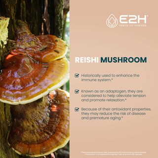 Foto 3 | Foto 3 | Suplemento E2h De Extracto De Hongo Reishi De 60 Ml Que Promueve La Longevidad - Venta Internacional.