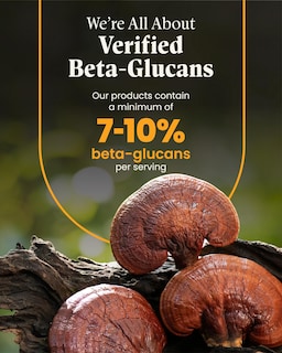 Foto 5 | Foto 5 | Suplemento Herb Pharm Mushroom Wellness Cordyceps Blend - Venta Internacional.