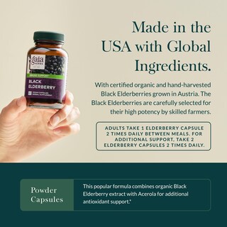 Foto 4 | Foto 4 | Suplemento Gaia Herbs Black Elderberry 60 Cápsulas Veganas - Venta Internacional.