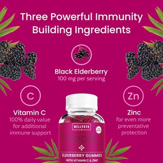 Foto 4 | Foto 4 | Gomitas De Saúco Wellpath Boost Con Zinc Y Vitamina C, 60 Unidades - Venta Internacional.