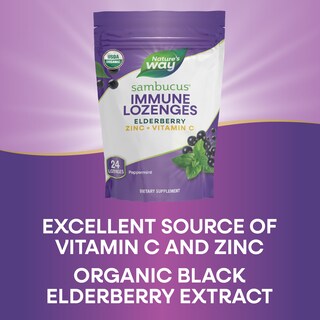 Foto 5 | Foto 5 | Pastillas Nature's Way Sambucus Zinc con Saúco y Vitamina C - Venta Internacional