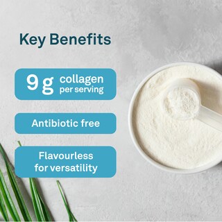 Foto 3 | Foto 3 | Suplemento Organika con Colágeno Mejorado 250 G - Venta Internacional