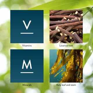 Foto 5 | Foto 5 | Suplemento Nature's Sunshine Master Gland 120 Cápsulas - Venta Internacional.