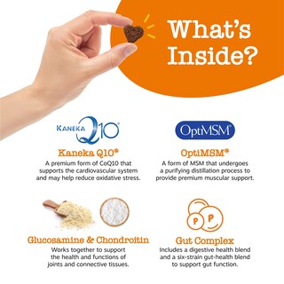 Foto 3 | Foto 3 | Multivitamínico Treats Zesty Paws Para Perros, Soporte Articular, 250 G - Venta Internacional.