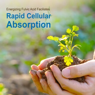 Foto 7 | Foto 7 | Suplemento Vital Earth Joint Support 960 ml Paquete de 2 - Venta Internacional