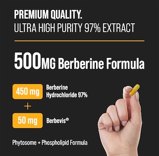 Foto 2 | Foto 2 | Suplemento Nutrachamps Berberine Hcl 97% de Pureza 500 mg 90 Cápsulas - Venta Internacional