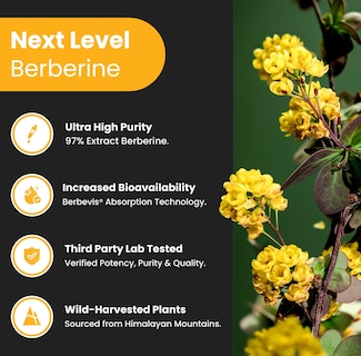 Foto 3 | Foto 3 | Suplemento Nutrachamps Berberine Hcl 97% de Pureza 500 mg 90 Cápsulas - Venta Internacional