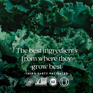 Foto 6 | Foto 6 | Multivitamínico New Chapter Women's 40+ 96 Comprimidos - Venta Internacional.