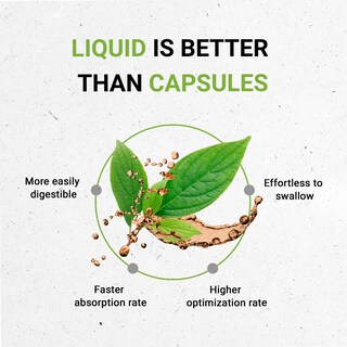 Foto 2 | Foto 2 | Hierba De Trébol Rojo Tincture Secrets Of The Tribe, 60 Ml, Orgánica - Venta Internacional.