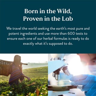 Foto 2 | Foto 2 | Suplemento Nature's Sunshine De Arroz De Levadura Roja 120 Cápsulas - Venta Internacional.