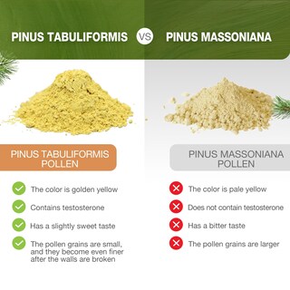Foto 6 | Foto 6 | Polen De Pino En Polvo Eco-taste 180 Ml De Pinus Tabuliformis Cosechado En Estado Silvestre - Venta Internacional.