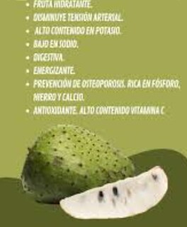 Foto 2 | Foto 2 | Extracto De Guanábana Puro natural 60ml Antioxidante Original