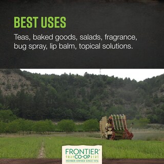 Foto 4 | Foto 4 | Té De Hojas Sueltas Con Bálsamo De Limón Y Hierbas Secas 454 G - Frontier Co-op - Venta Internacional.