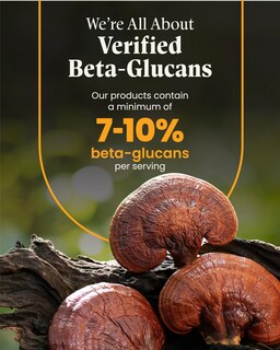 Foto 5 | Foto 5 | Suplemento Herb Pharm Mushroom Wellness Everyday 10 90 Cápsulas - Venta Internacional.