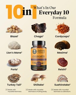 Foto 7 | Foto 7 | Suplemento Herb Pharm Mushroom Wellness Everyday 10 90 Cápsulas - Venta Internacional.