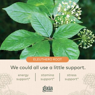 Foto 5 | Foto 5 | Suplemento Gaia Herbs Eleuthero Root Energy 60 Cápsulas Veganas - Venta Internacional