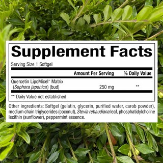 Foto 2 | Foto 2 | Suplemento Natural Factors Quercetin Lipomicel Matrix 120 Cápsulas Blandas - Venta Internacional