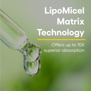 Foto 3 | Foto 3 | Suplemento Natural Factors Quercetin Lipomicel Matrix 120 Cápsulas Blandas - Venta Internacional