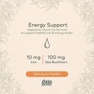 Foto 3 | Foto 3 | Suplemento Gaia Herbs Plant Force Liquid Iron 250 Ml - Venta Internacional.