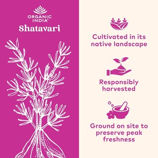 Foto 4 | Foto 4 | Suplemento Organic India Shatavari En Cápsulas 180 Veganas - Venta Internacional.