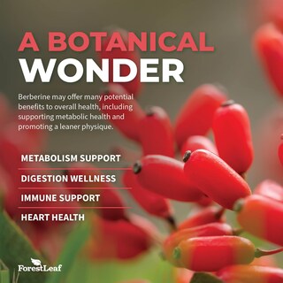 Foto 6 | Foto 6 | Suplemento Forestleaf Advanced Dual Berberine Hcl 1300 Mg - Venta Internacional