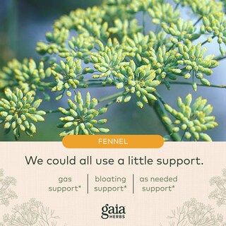 Foto 5 | Foto 5 | Suplemento Gaia Herbs Gas & Bloating 50 Cápsulas - Venta Internacional
