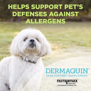 Foto 2 | Foto 2 | Suplemento Nutramax Dermaquin Skin Support Para Perros Y Gatos - Venta Internacional.