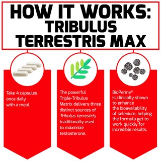 Foto 3 | Foto 3 | Suplemento Force Factor Tribulus Terrestris Max 2000 Mg - Venta Internacional