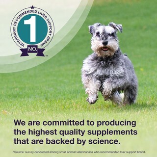 Foto 4 | Foto 4 | Suplemento Para La Salud Del Hígado Nutramax Denamarin Para Perros Medianos - Venta Internacional.