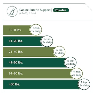Foto 4 | Foto 4 | Suplemento Para Perros Standard Process Canine Enteric Support 30 G - Venta Internacional.