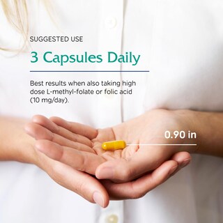 Foto 5 | Foto 5 | Suplemento Vitanica Ccdg Blend Immune Support 90 Cápsulas - Venta Internacional.