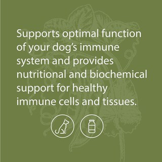 Foto 5 | Foto 5 | Suplemento Standard Process Canine Immune System 30 G - Venta Internacional.