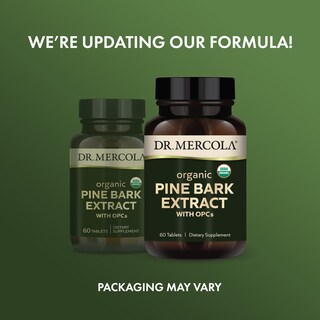 Foto 3 | Foto 3 | Suplemento Dr. Mercola Extracto De Corteza De Pino Orgánico 60 Tabletas - Venta Internacional.