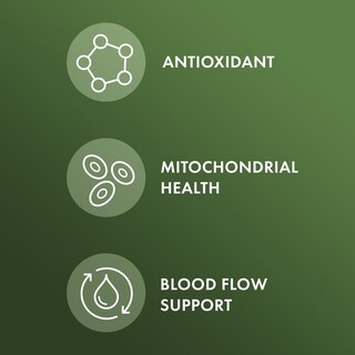 Foto 4 | Foto 4 | Suplemento Dr. Mercola Extracto De Corteza De Pino Orgánico 60 Tabletas - Venta Internacional.