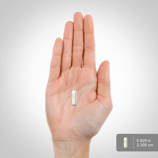 Foto 7 | Foto 7 | Suplemento Piping Rock Acetil L-carnitina Hcl 500 Mg 200 Cápsulas - Venta Internacional.
