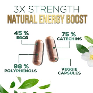 Foto 3 | Foto 3 | Píldoras De Extracto De Té Verde Silveronyx 1000 Mg Con Egcg 240 Cápsulas - Venta Internacional.